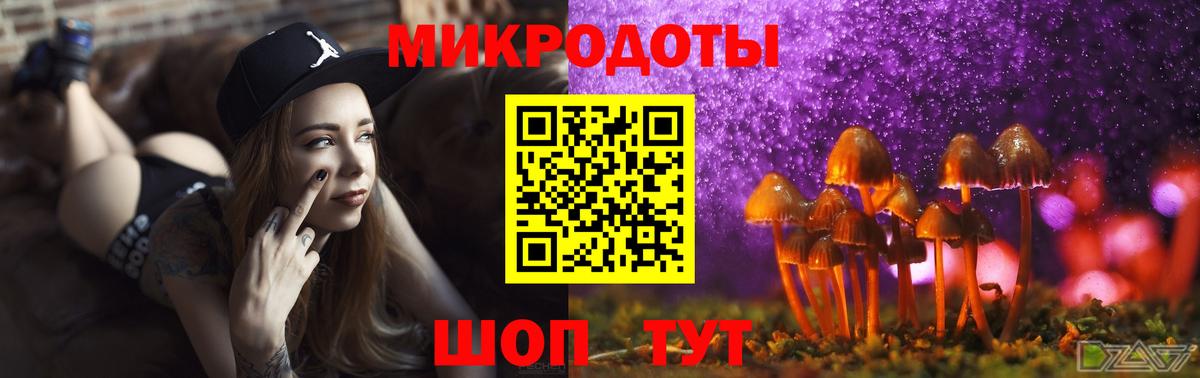 как найти закладки  Вход с VPN  Калининград  Псилоцибиновые грибы Psilocybine cubensis  Галлюциногенные грибы Psilocybe 
